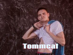 Tommcat