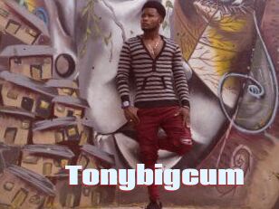 Tonybigcum