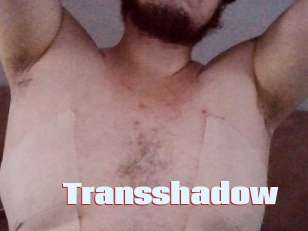 Transshadow