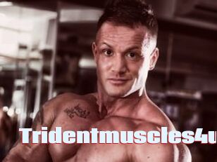 Tridentmuscles4u