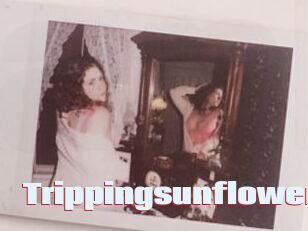 Trippingsunflower