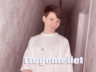 Troyemellet