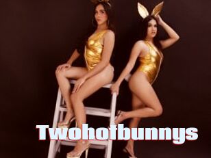 Twohotbunnys