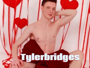 Tylerbridges