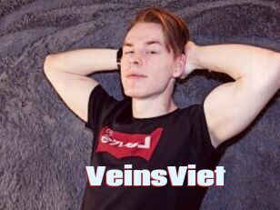 VeinsViet