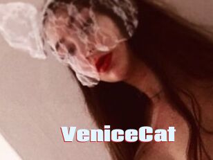 VeniceCat