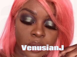 VenusianJ