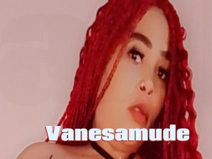 Vanesamude