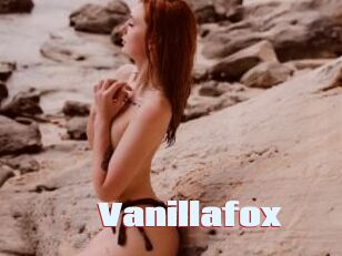 Vanillafox