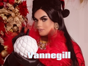 Vannegill