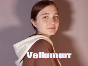 Vellumurr