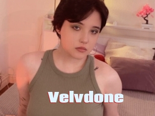 Velvdone