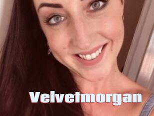 Velvetmorgan