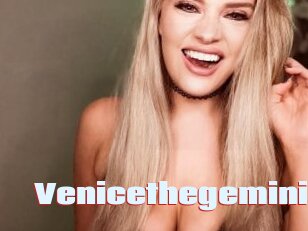 Venicethegemini