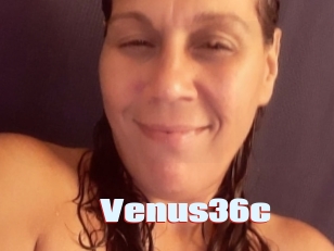 Venus36c