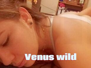 Venus_wild