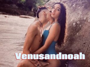 Venusandnoah