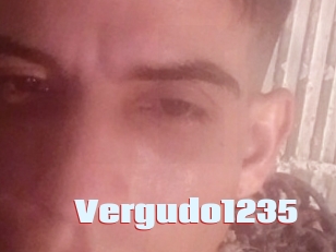 Vergudo1235