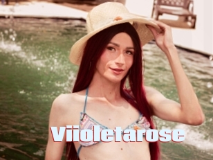 Viioletarose