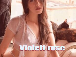 Violett_rose