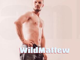 WildMattew Anal Open