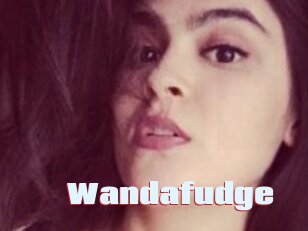 wandafudge Anal Open