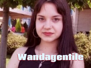 wandagentile Anal Open