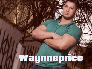 Waynneprice