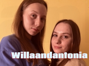 Willaandantonia