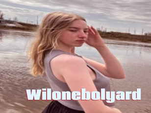Wilonebolyard