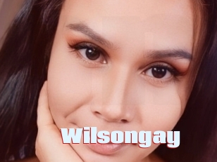 Wilsongay