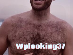 Wplooking37