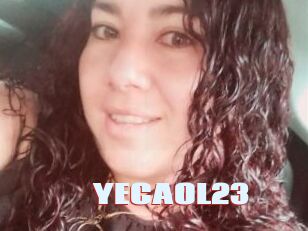 YECAOL23