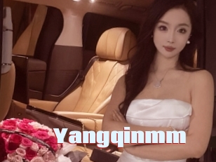 Yangqinmm