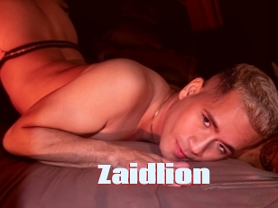 Zaidlion