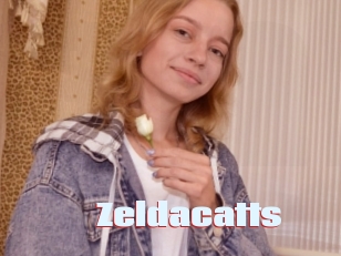Zeldacatts