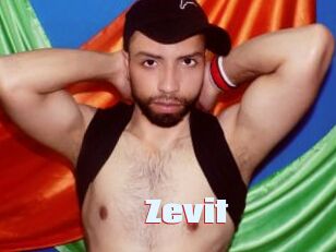 Zevit